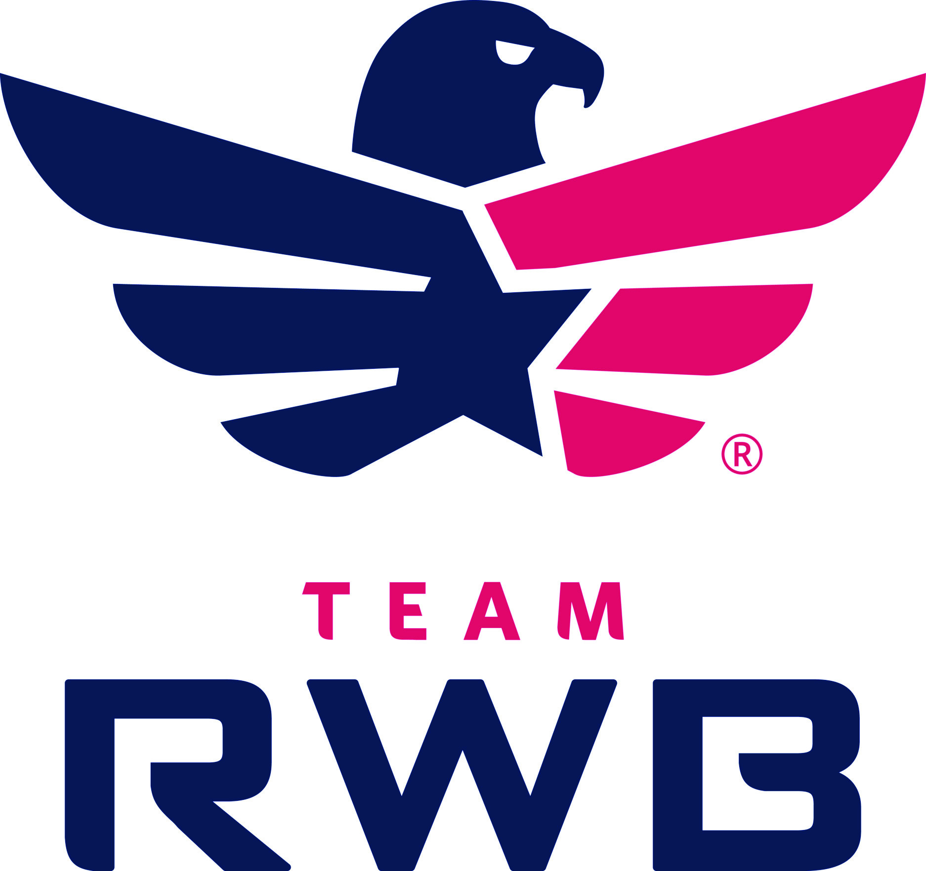 Team RWB Partnership logo