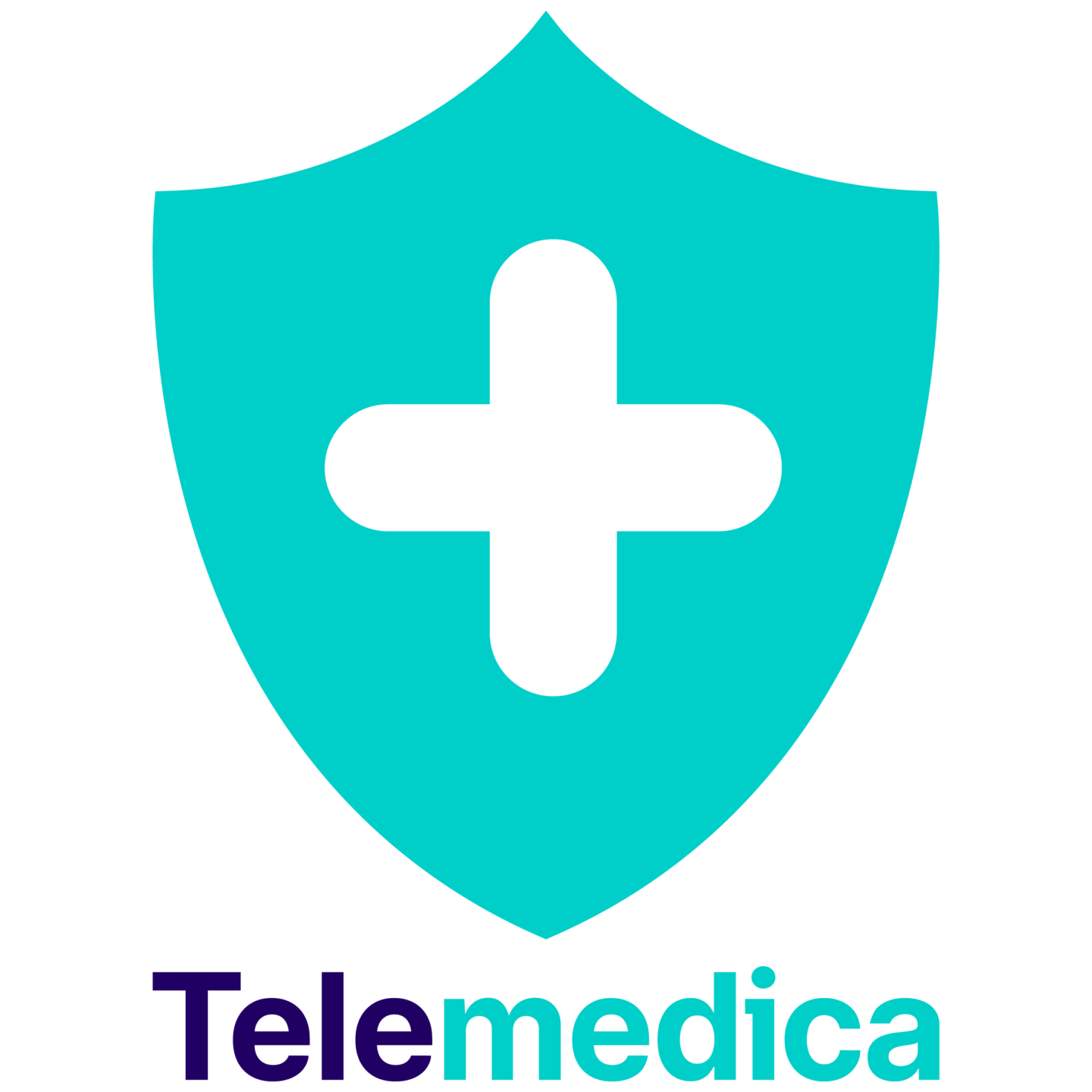 Telemedica Logo (Shield with a plus in it)